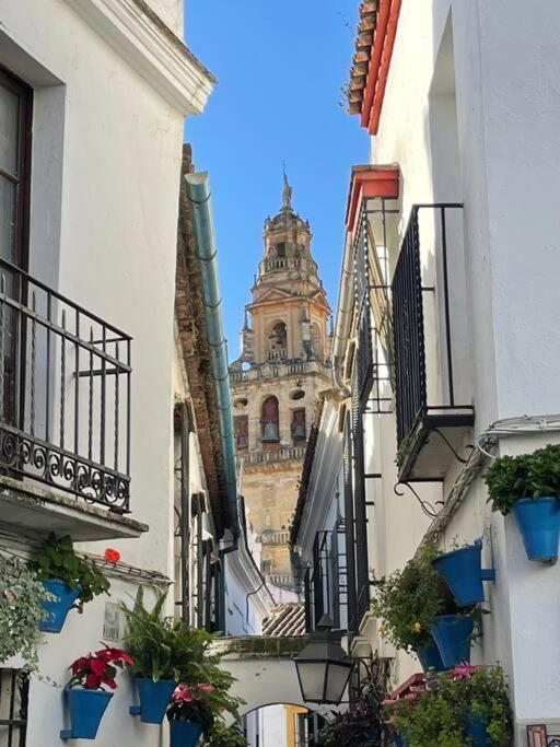 Apartamento El Templo Cordoba Dış mekan fotoğraf